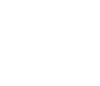 Animaneco Festival Logo