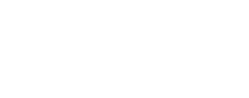 Animaneco Festival Logo